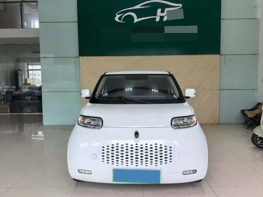 2020 Ora WhiteCat BEV 29.4KWH,autocango,china used car exporter,china ev exporter,chinese used car exporter,chinese used ev exporter