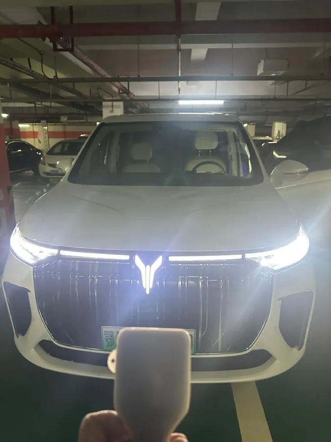 2022 Voyah Dream BEV 108.7KWH,autocango,china used car exporter,china ev exporter,chinese used car exporter,chinese used ev exporter