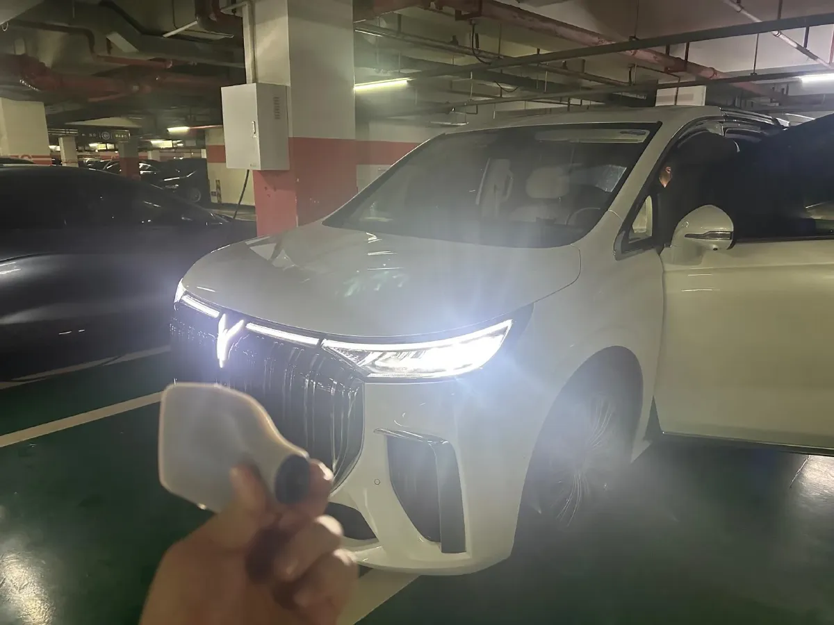 2022 Voyah Dream BEV 108.7KWH,autocango,china used car exporter,china ev exporter,chinese used car exporter,chinese used ev exporter