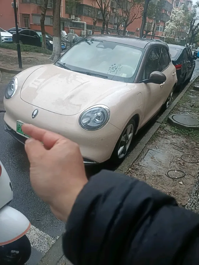 2021 Ora FunkyCat BEV 45.99KWH,autocango,china used car exporter,china ev exporter,chinese used car exporter,chinese used ev exporter