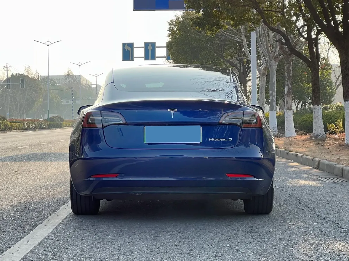 2020 Tesla Model 3 BEV 55KWH,autocango,china used car exporter,china ev exporter,chinese used car exporter,chinese used ev exporter