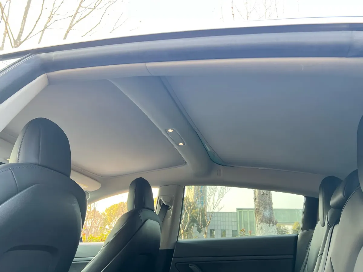 2020 Tesla Model 3 BEV 55KWH,autocango,china used car exporter,china ev exporter,chinese used car exporter,chinese used ev exporter