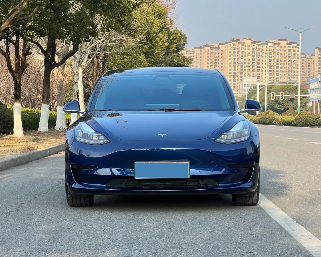 2020 Tesla Model 3 BEV 55KWH,autocango,china used car exporter,china ev exporter,chinese used car exporter,chinese used ev exporter