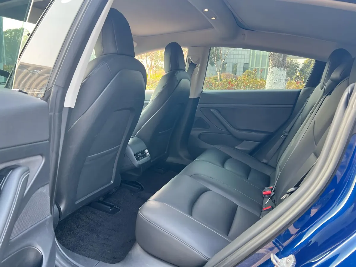 2020 Tesla Model 3 BEV 55KWH,autocango,china used car exporter,china ev exporter,chinese used car exporter,chinese used ev exporter