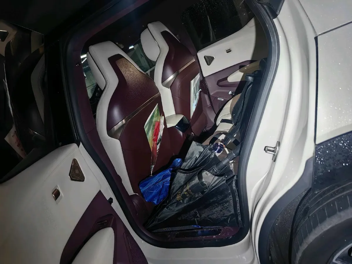 2023 Zeekr X BEV 66KWH,autocango,china used car exporter,china ev exporter,chinese used car exporter,chinese used ev exporter