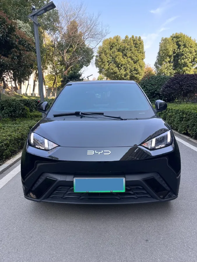 2024 BYD Seagull BEV 30.08KWH,autocango,china used car exporter,china ev exporter,chinese used car exporter,chinese used ev exporter
