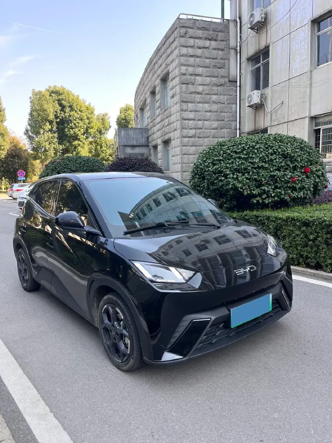 2024 BYD Seagull BEV 30.08KWH,autocango,china used car exporter,china ev exporter,chinese used car exporter,chinese used ev exporter