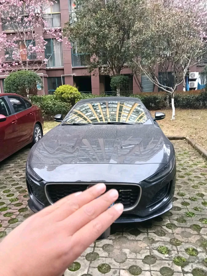 2021 Jaguar F-TYPE 3.0T 381HP V6 8AT,autocango,china used car exporter,china ev exporter,chinese used car exporter,chinese used ev exporter