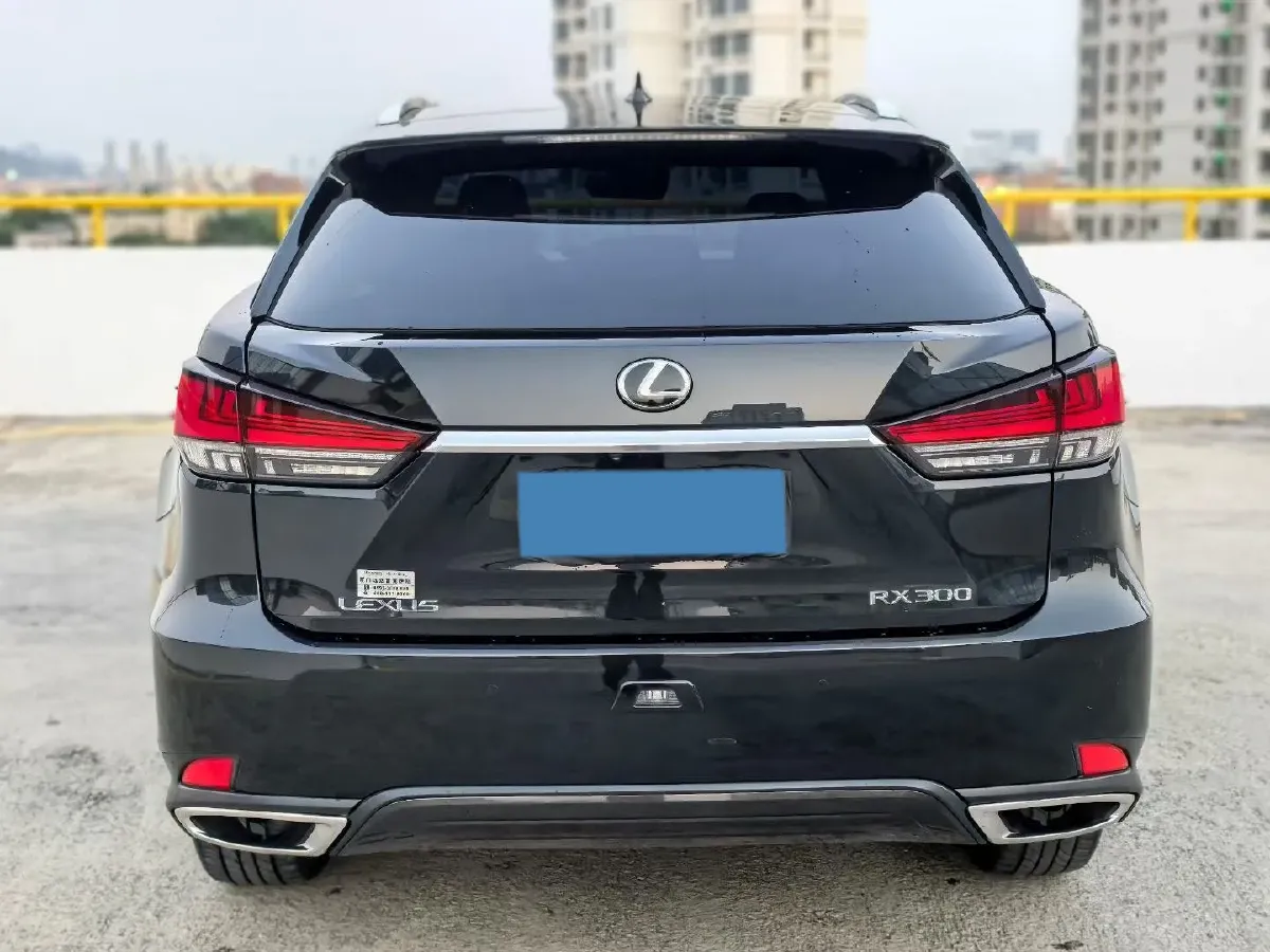2021 Lexus RX 2.0T 231HP L4 6AT,autocango,china used car exporter,china ev exporter,chinese used car exporter,chinese used ev exporter