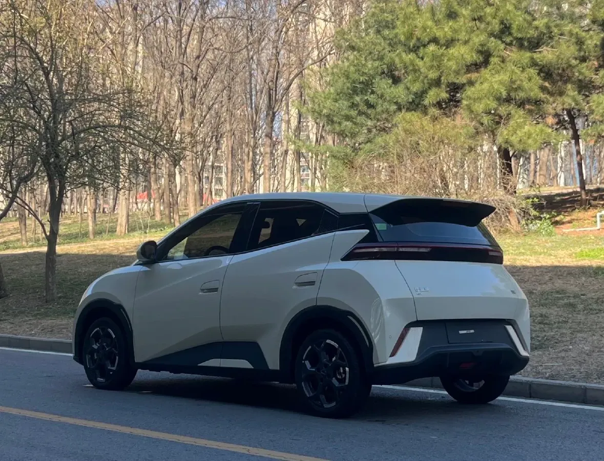 2025 BYD Seagull BEV 38.88KWH,autocango,china used car exporter,china ev exporter,chinese used car exporter,chinese used ev exporter