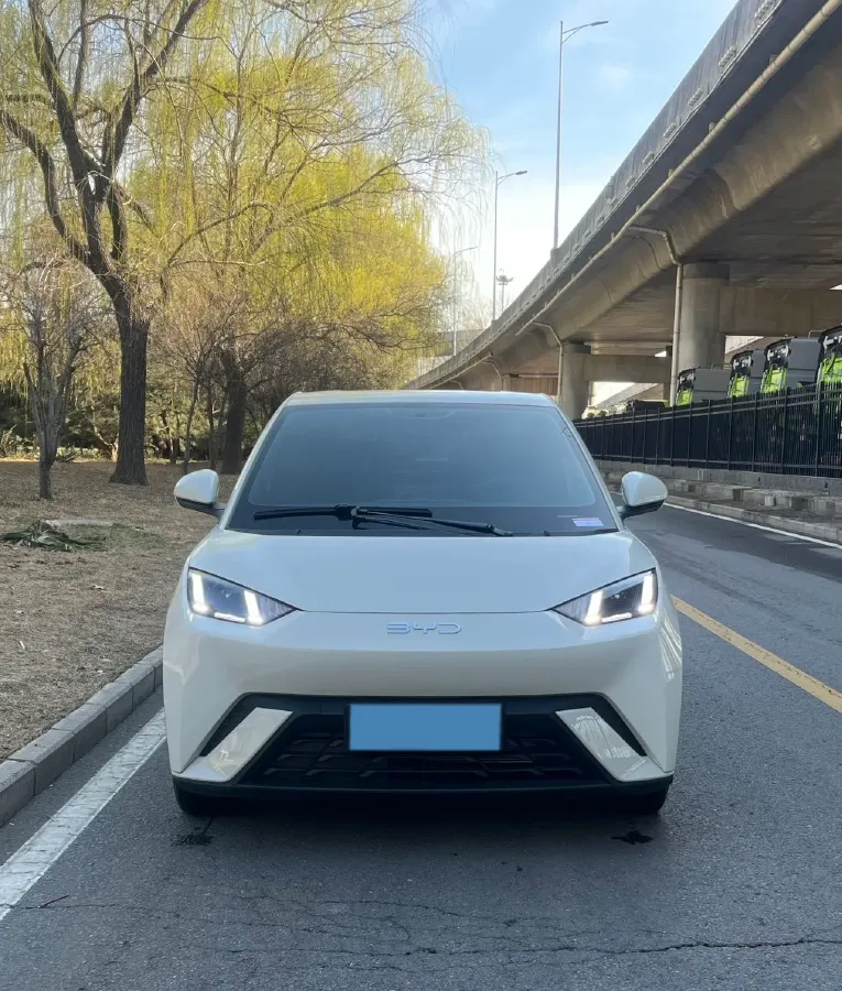 2025 BYD Seagull BEV 38.88KWH,autocango,china used car exporter,china ev exporter,chinese used car exporter,chinese used ev exporter