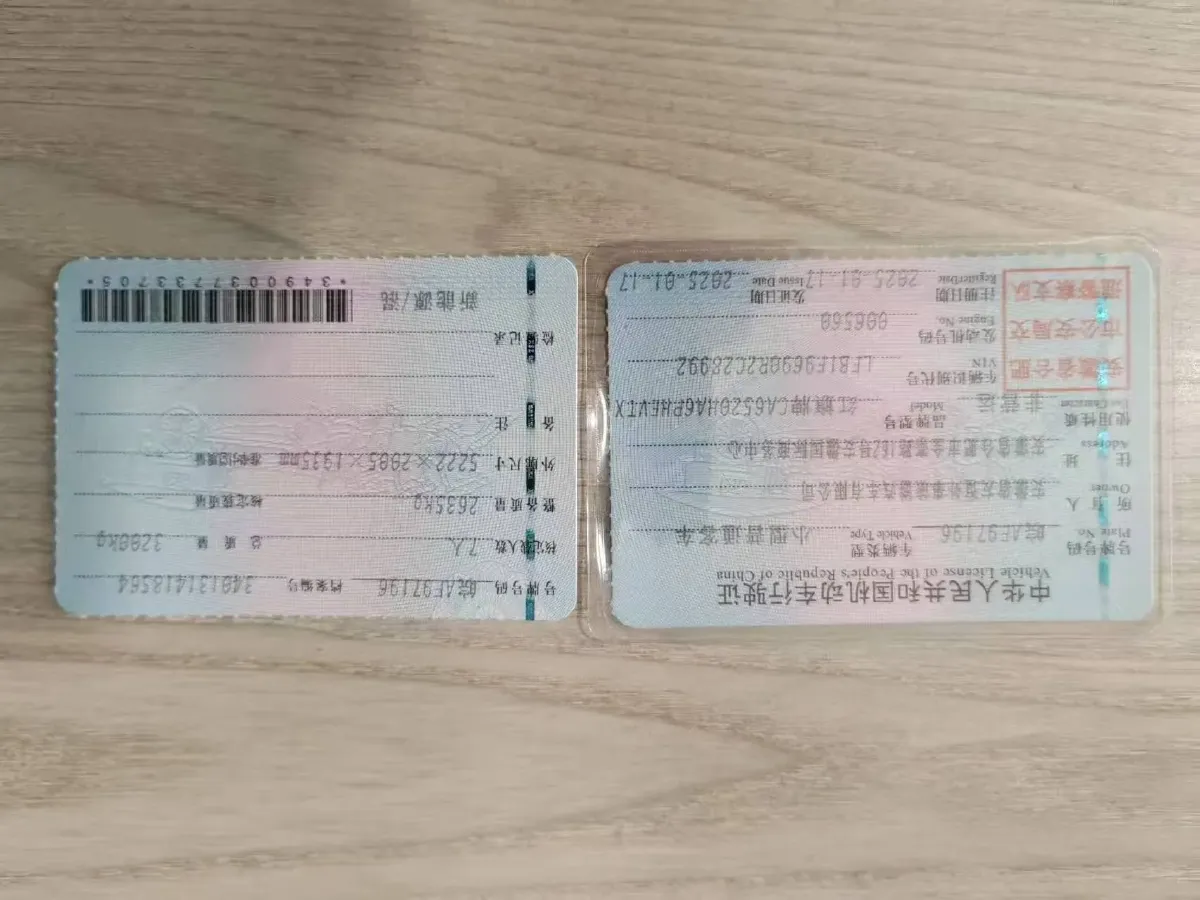 2024 HongQi HQ9 2.0T 163HP L4 1DHT PHEV 20.14KWH,autocango,china used car exporter,china ev exporter,chinese used car exporter,chinese used ev exporter