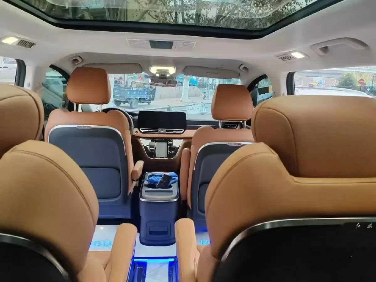 2024 HongQi HQ9 2.0T 163HP L4 1DHT PHEV 20.14KWH,autocango,china used car exporter,china ev exporter,chinese used car exporter,chinese used ev exporter