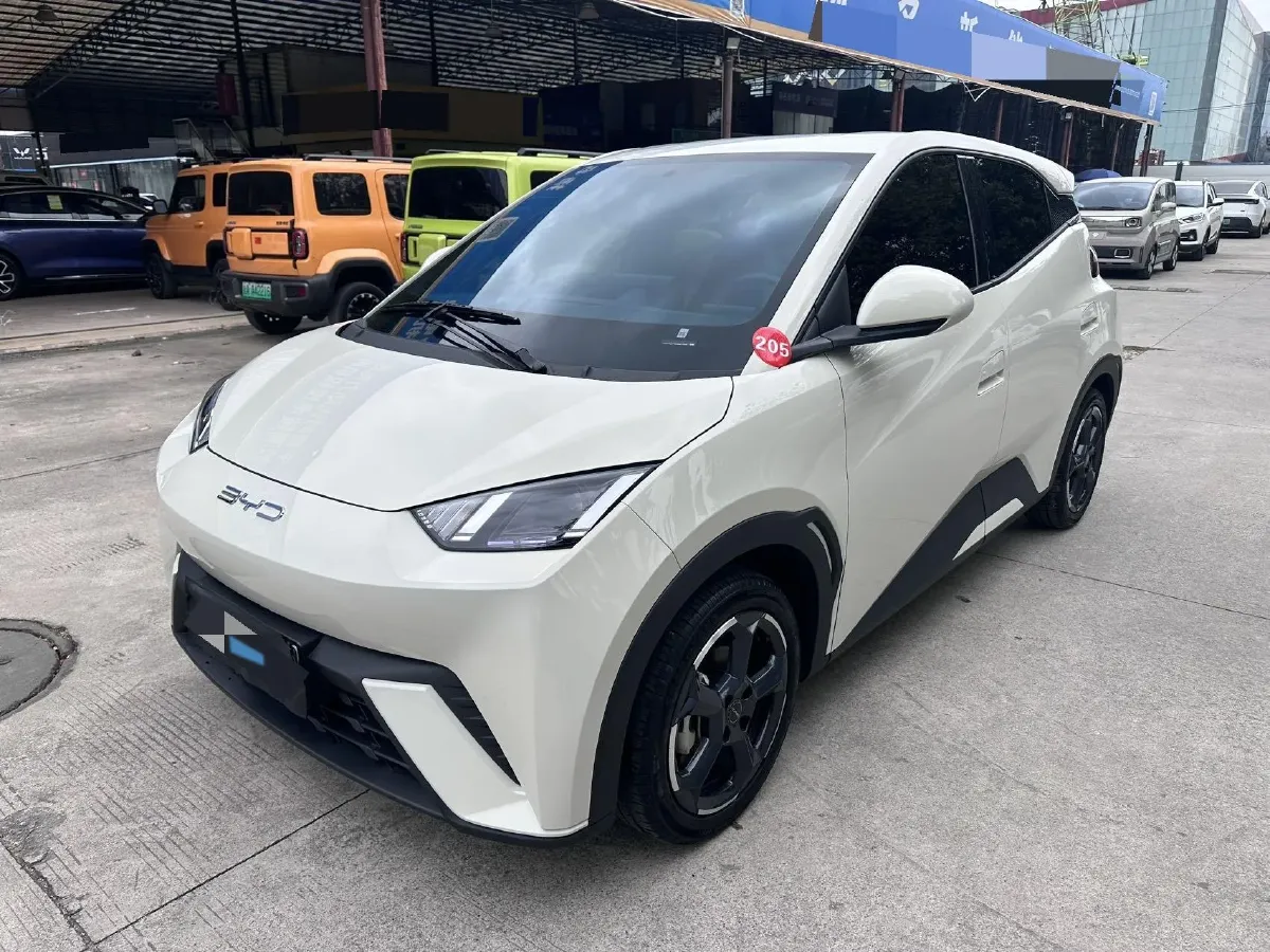 2024 BYD Seagull BEV 30.08KWH,autocango,china used car exporter,china ev exporter,chinese used car exporter,chinese used ev exporter