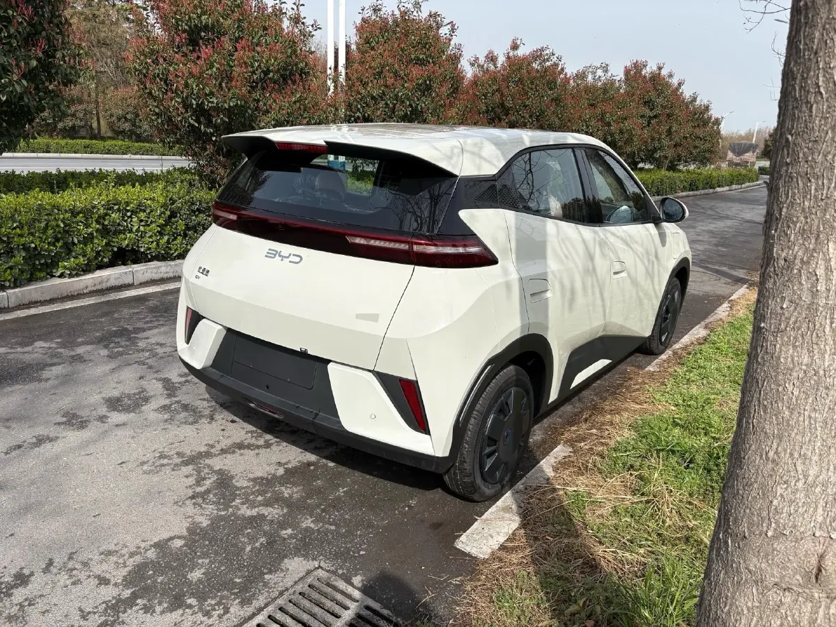 2025 BYD Seagull BEV 30.08KWH,autocango,china used car exporter,china ev exporter,chinese used car exporter,chinese used ev exporter