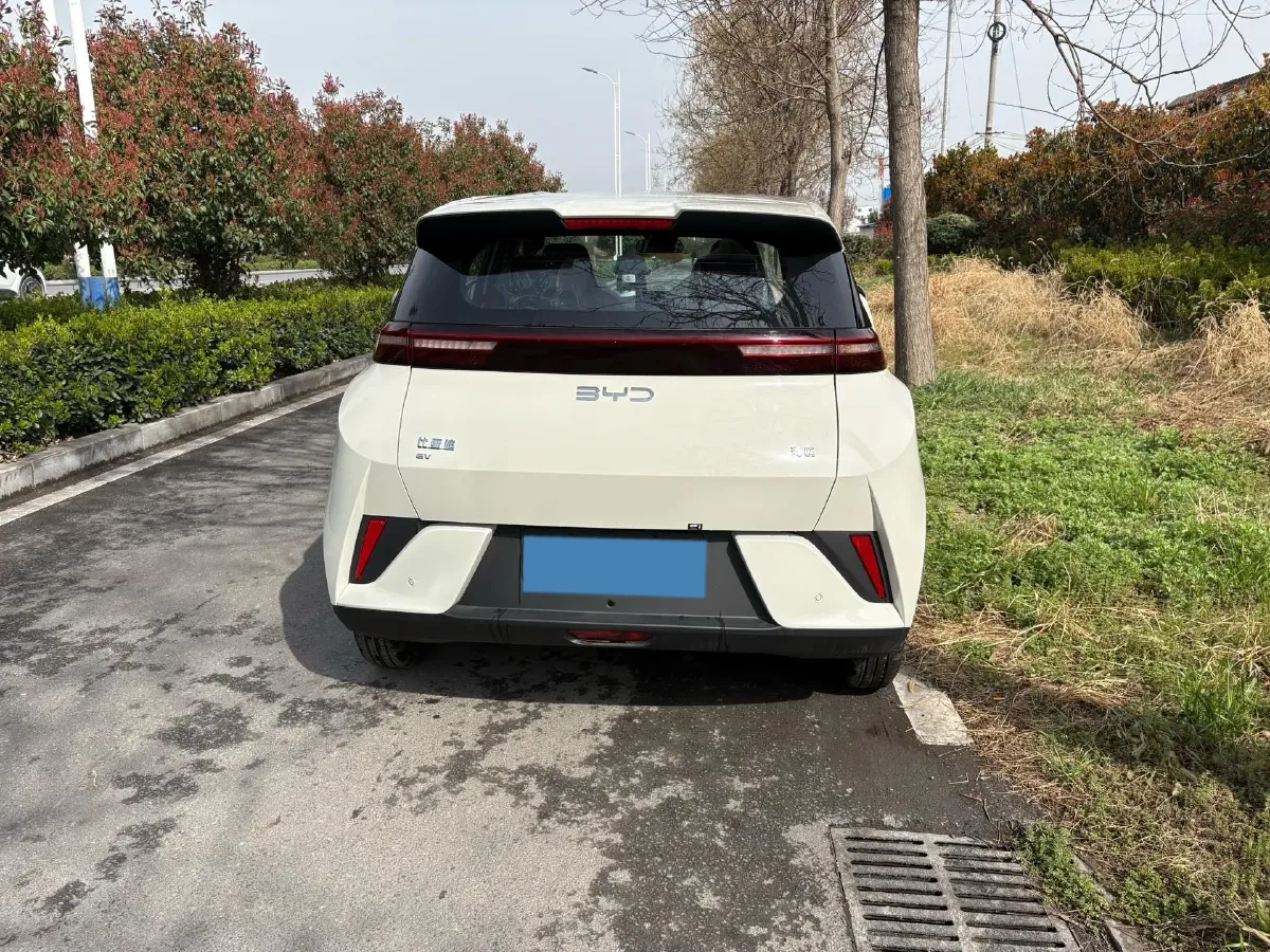 2025 BYD Seagull BEV 30.08KWH,autocango,china used car exporter,china ev exporter,chinese used car exporter,chinese used ev exporter