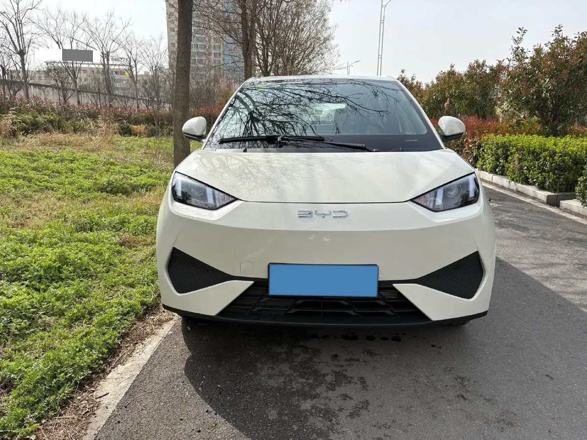 2025 BYD Seagull BEV 30.08KWH,autocango,china used car exporter,china ev exporter,chinese used car exporter,chinese used ev exporter