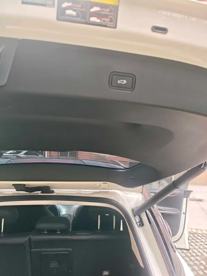 2024 Smart smart Elf 1 BEV 49KWH,autocango,china used car exporter,china ev exporter,chinese used car exporter,chinese used ev exporter