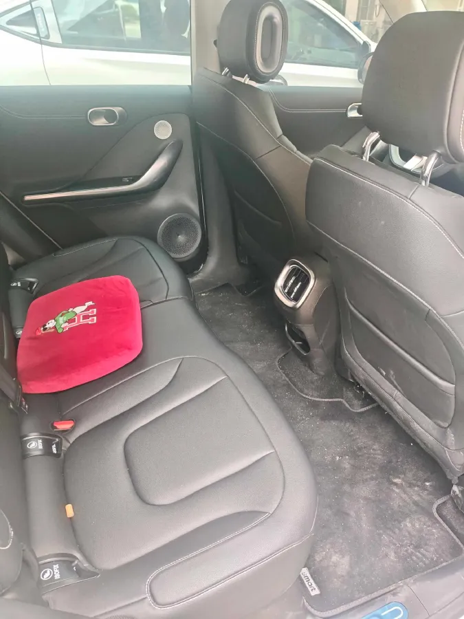 2024 Smart smart Elf 1 BEV 49KWH,autocango,china used car exporter,china ev exporter,chinese used car exporter,chinese used ev exporter