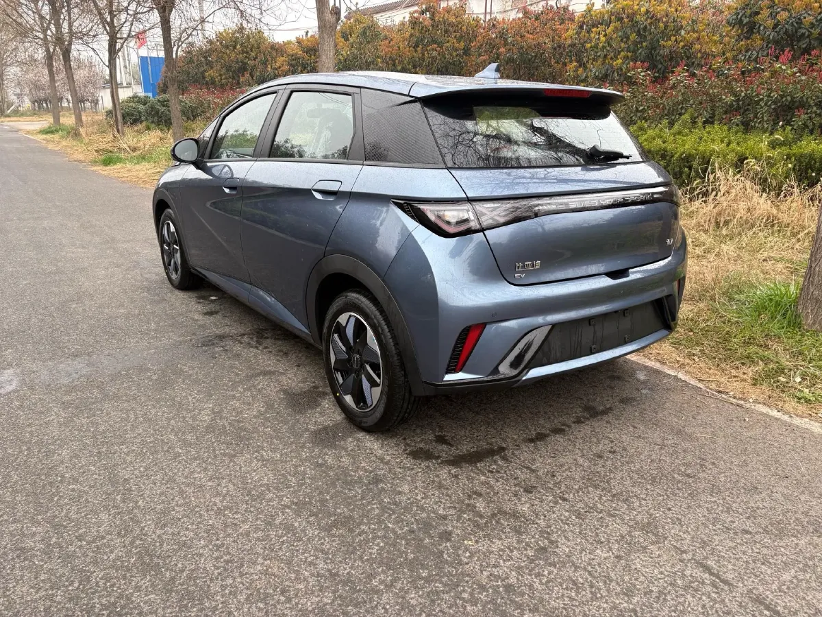 2025 BYD Dolphin BEV 44.928KWH,autocango,china used car exporter,china ev exporter,chinese used car exporter,chinese used ev exporter