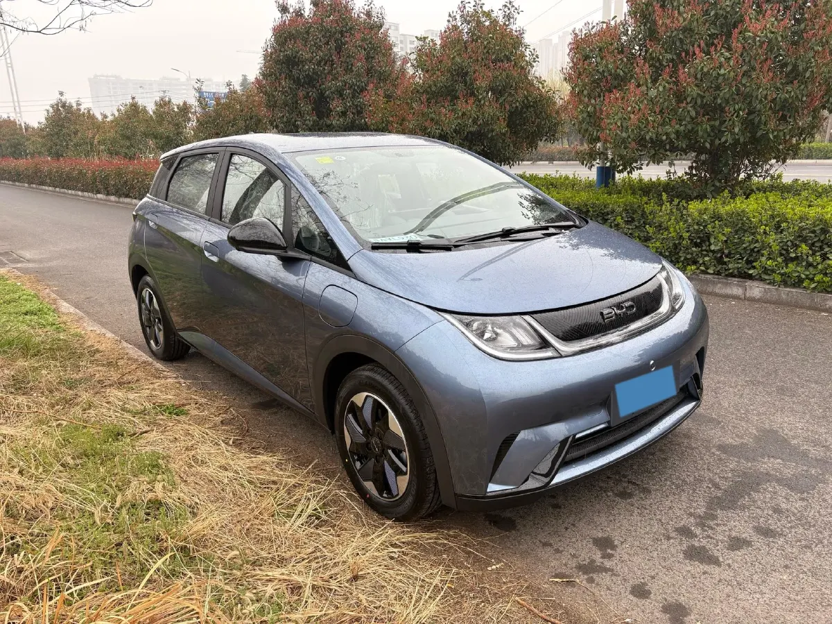 2025 BYD Dolphin BEV 44.928KWH,autocango,china used car exporter,china ev exporter,chinese used car exporter,chinese used ev exporter