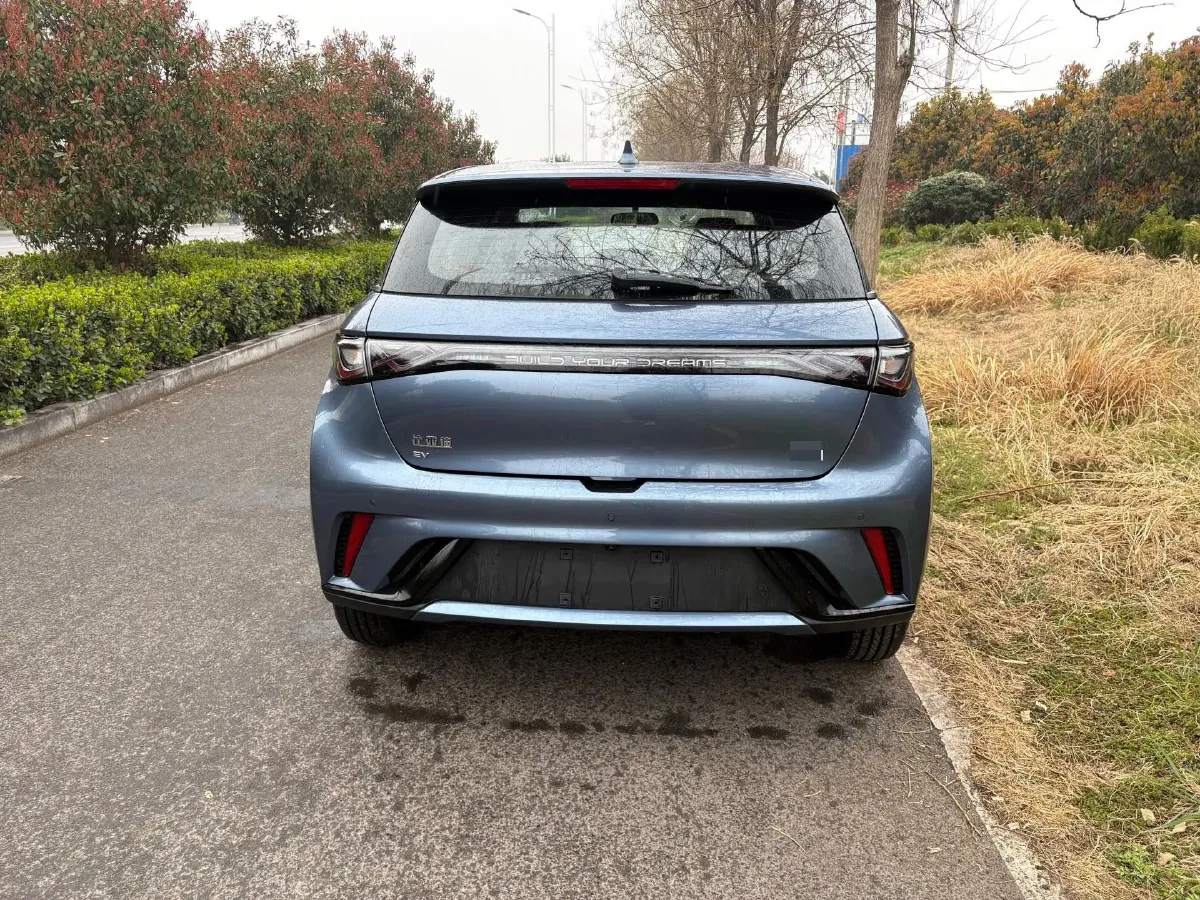 2025 BYD Dolphin BEV 44.928KWH,autocango,china used car exporter,china ev exporter,chinese used car exporter,chinese used ev exporter