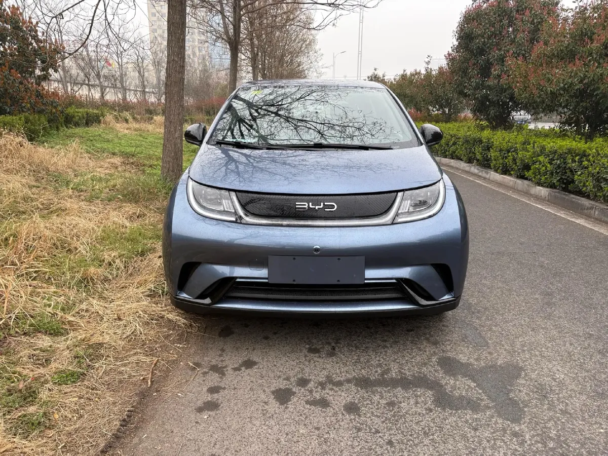 2025 BYD Dolphin BEV 44.928KWH,autocango,china used car exporter,china ev exporter,chinese used car exporter,chinese used ev exporter