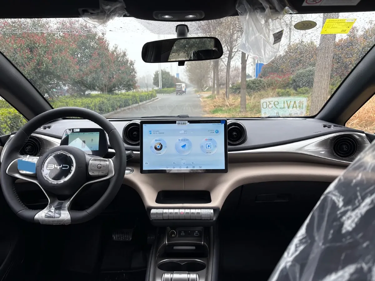 2025 BYD Dolphin BEV 44.928KWH,autocango,china used car exporter,china ev exporter,chinese used car exporter,chinese used ev exporter