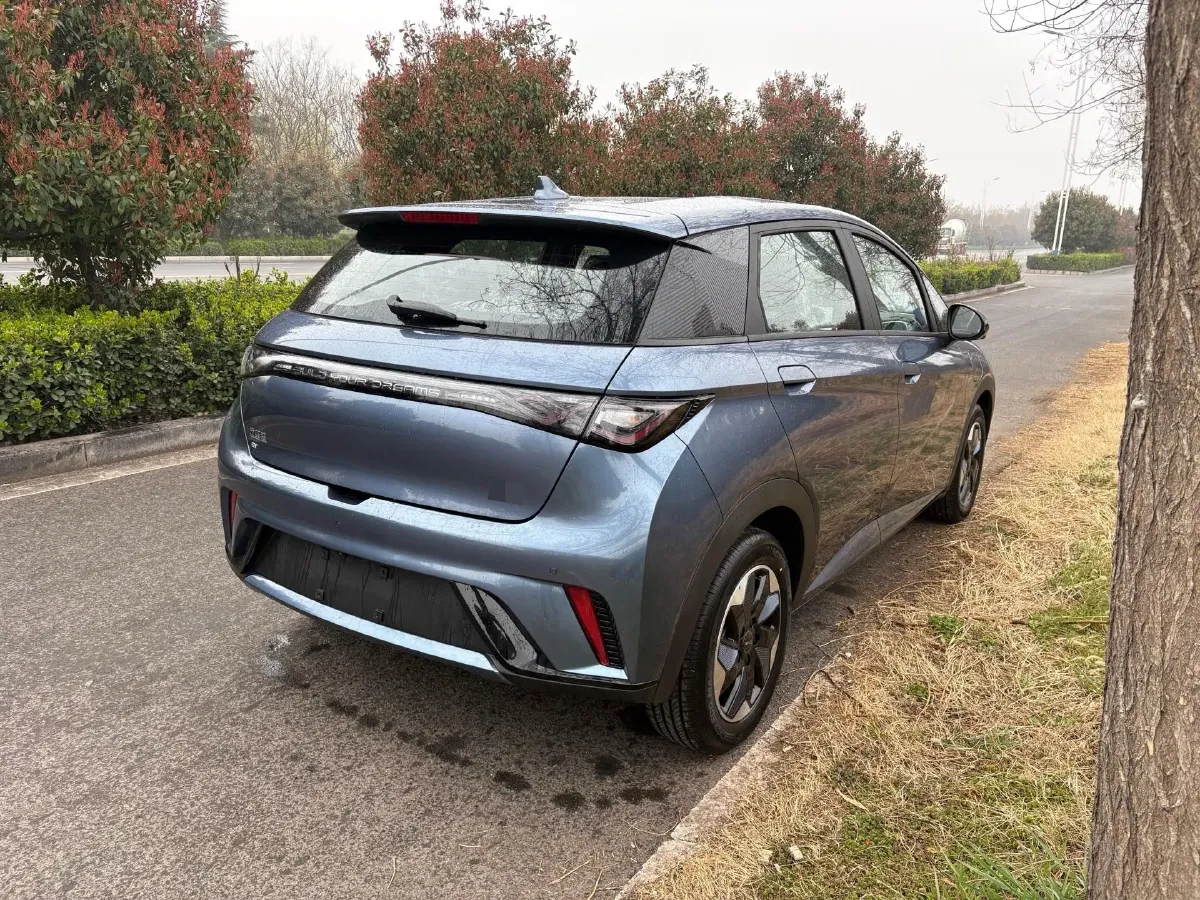 2025 BYD Dolphin BEV 44.928KWH,autocango,china used car exporter,china ev exporter,chinese used car exporter,chinese used ev exporter