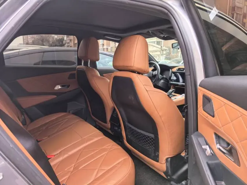 2020 DS 7 1.6T 180HP L4 8AT,autocango,china used car exporter,china ev exporter,chinese used car exporter,chinese used ev exporter