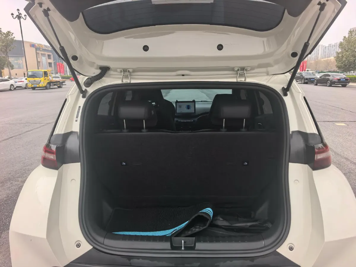 2023 BYD Seagull BEV 38.88KWH,autocango,china used car exporter,china ev exporter,chinese used car exporter,chinese used ev exporter