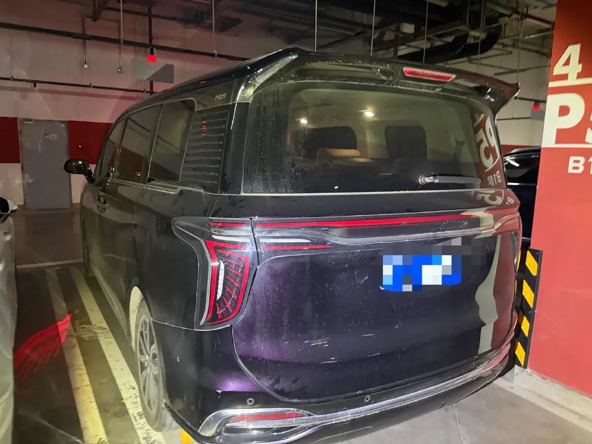 2023 HongQi HQ9 2.0T 252HP L4 8AT,autocango,china used car exporter,china ev exporter,chinese used car exporter,chinese used ev exporter