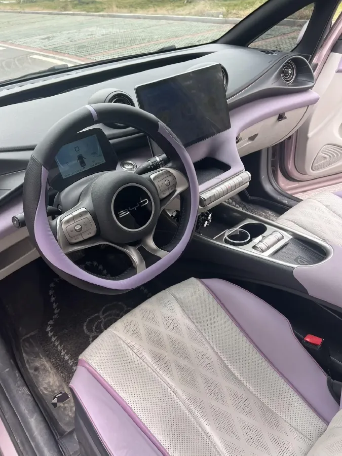 2023 BYD Dolphin BEV 44.928KWH,autocango,china used car exporter,china ev exporter,chinese used car exporter,chinese used ev exporter