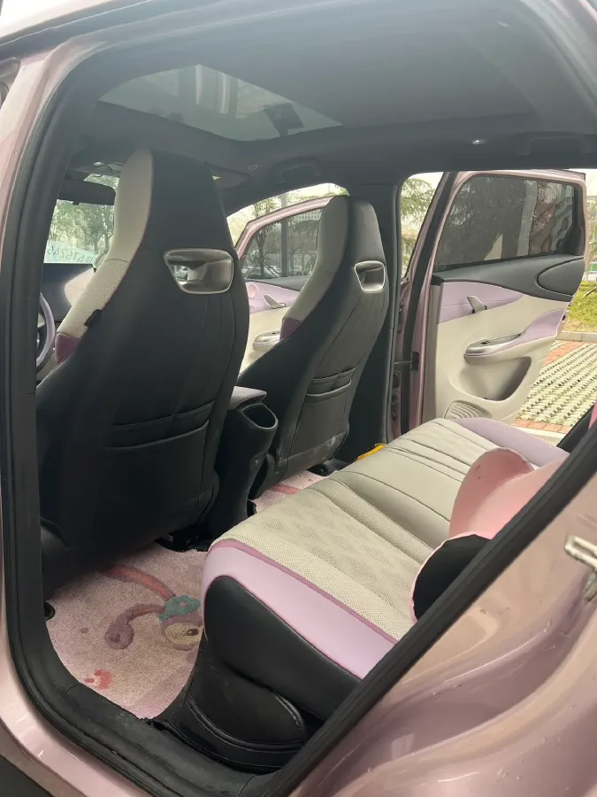 2023 BYD Dolphin BEV 44.928KWH,autocango,china used car exporter,china ev exporter,chinese used car exporter,chinese used ev exporter