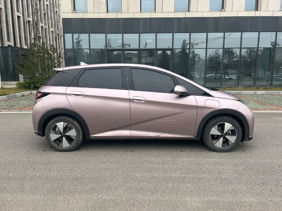 2023 BYD Dolphin BEV 44.928KWH,autocango,china used car exporter,china ev exporter,chinese used car exporter,chinese used ev exporter