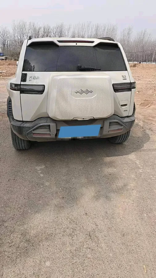 2025 FangChengBao Tai 3 BEV,autocango,china used car exporter,china ev exporter,chinese used car exporter,chinese used ev exporter