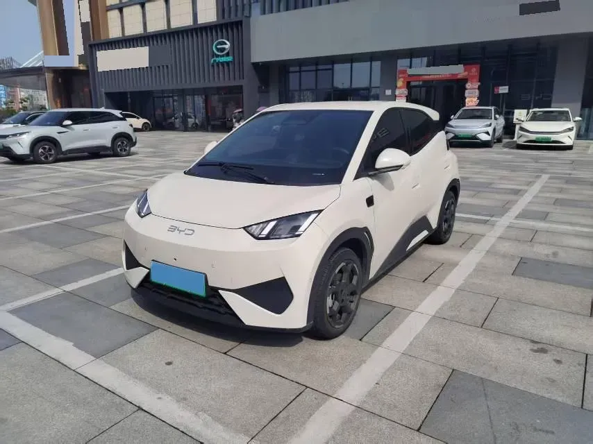 2025 BYD Seagull BEV 30.08KWH,autocango,china used car exporter,china ev exporter,chinese used car exporter,chinese used ev exporter