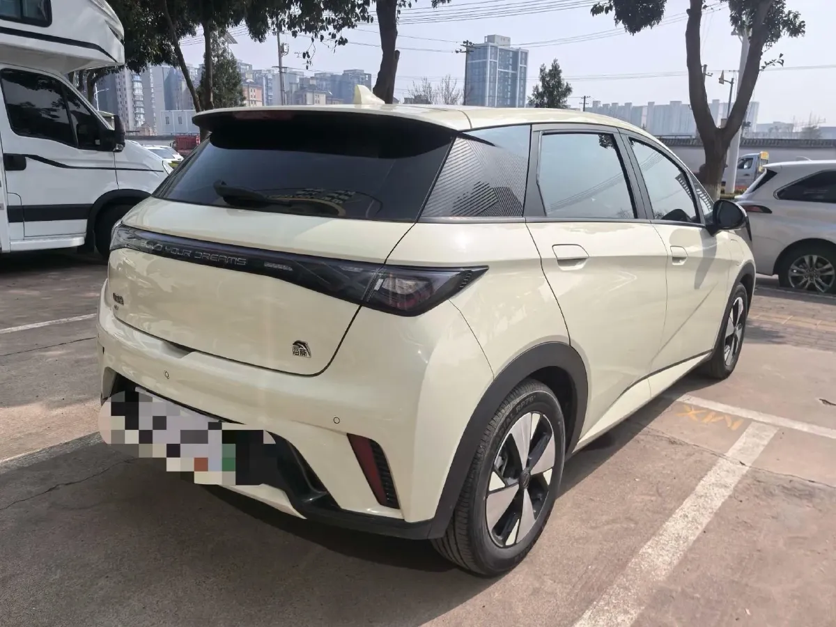 2023 BYD Dolphin BEV 44.928KWH,autocango,china used car exporter,china ev exporter,chinese used car exporter,chinese used ev exporter