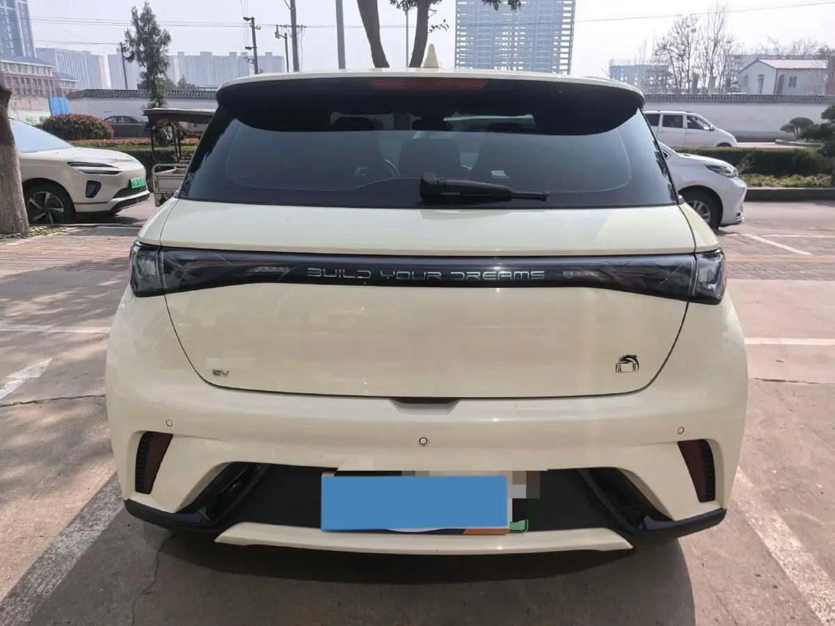 2023 BYD Dolphin BEV 44.928KWH,autocango,china used car exporter,china ev exporter,chinese used car exporter,chinese used ev exporter