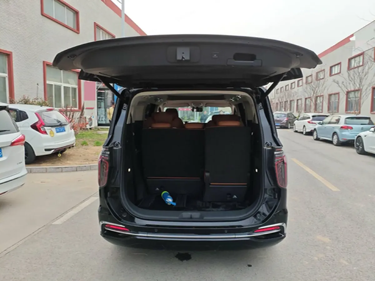 2024 HongQi HQ9 2.0T 163HP L4 1DHT PHEV 20.14KWH,autocango,china used car exporter,china ev exporter,chinese used car exporter,chinese used ev exporter