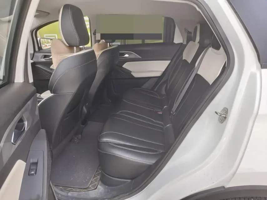 2024 Geometry E BEV 39.3KWH,autocango,china used car exporter,china ev exporter,chinese used car exporter,chinese used ev exporter