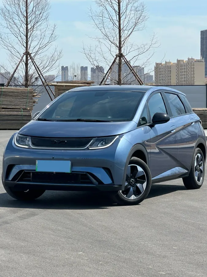 2024 BYD Dolphin BEV 44.928KWH,autocango,china used car exporter,china ev exporter,chinese used car exporter,chinese used ev exporter