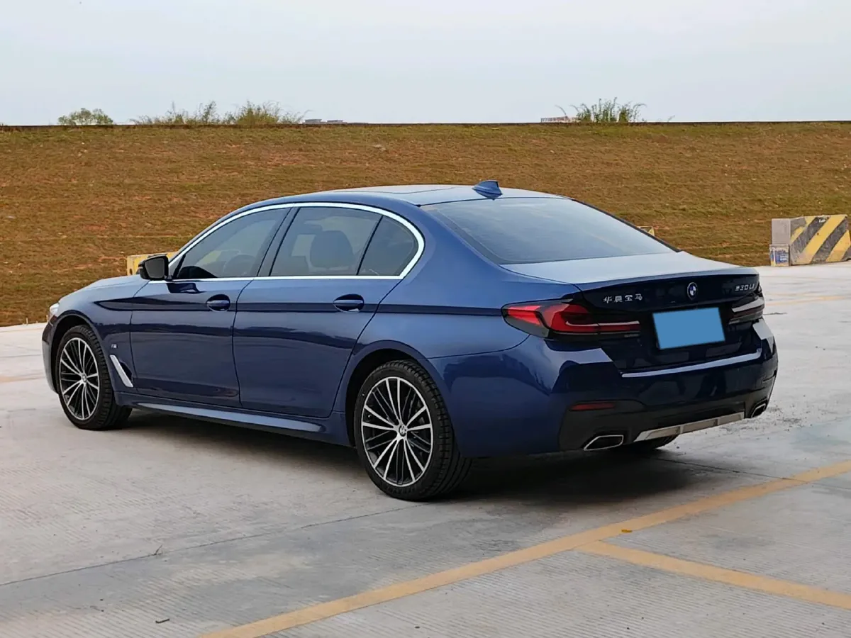 2021 BMW 5 Series 2.0T 252HP L4 8AT,autocango,china used car exporter,china ev exporter,chinese used car exporter,chinese used ev exporter