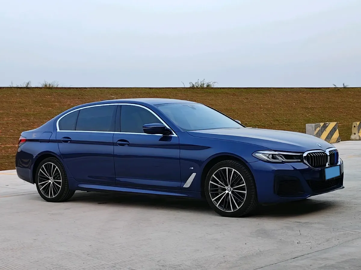 2021 BMW 5 Series 2.0T 252HP L4 8AT,autocango,china used car exporter,china ev exporter,chinese used car exporter,chinese used ev exporter
