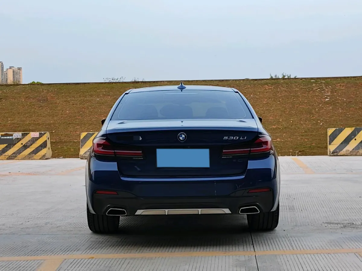 2021 BMW 5 Series 2.0T 252HP L4 8AT,autocango,china used car exporter,china ev exporter,chinese used car exporter,chinese used ev exporter