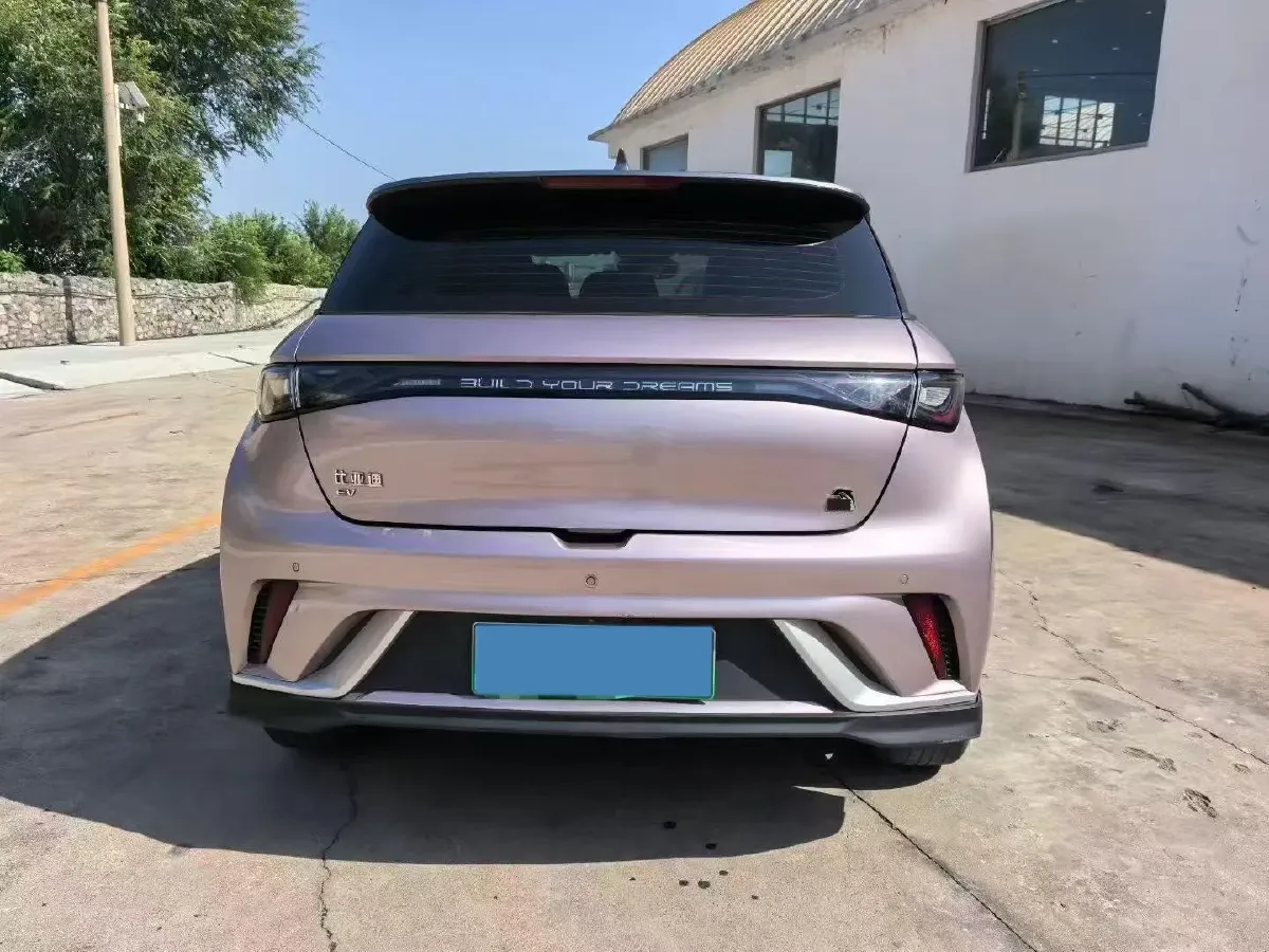 2023 BYD Dolphin BEV 44.928KWH,autocango,china used car exporter,china ev exporter,chinese used car exporter,chinese used ev exporter