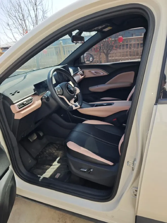 2024 BYD Seagull BEV 30.08KWH,autocango,china used car exporter,china ev exporter,chinese used car exporter,chinese used ev exporter