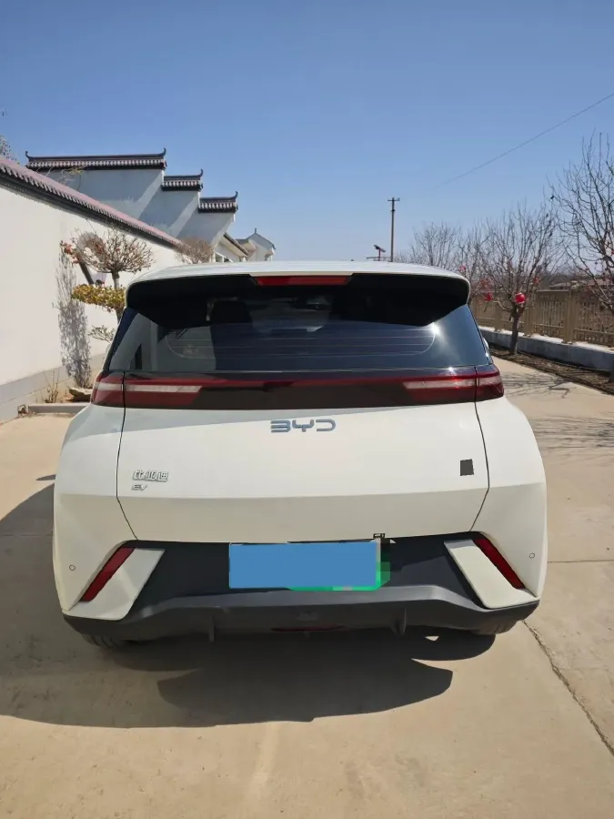 2024 BYD Seagull BEV 30.08KWH,autocango,china used car exporter,china ev exporter,chinese used car exporter,chinese used ev exporter