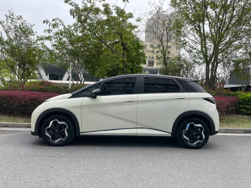 2021 BYD Yuan Pro BEV 50.1KWH,autocango,china used car exporter,china ev exporter,chinese used car exporter,chinese used ev exporter