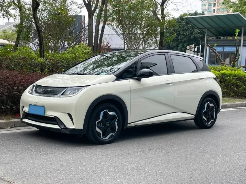 2021 BYD Yuan Pro BEV 50.1KWH,autocango,china used car exporter,china ev exporter,chinese used car exporter,chinese used ev exporter